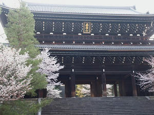 P4079627shuusei.JPG