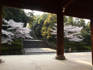 P4079636shuusei.JPG