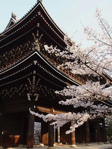 P4079639shuusei.JPG