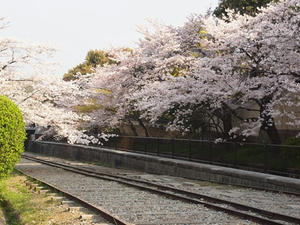 P4079647shuusei.JPG