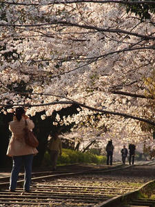 P4079663shuusei.JPG