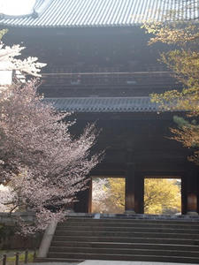 P4079698shuusei.JPG