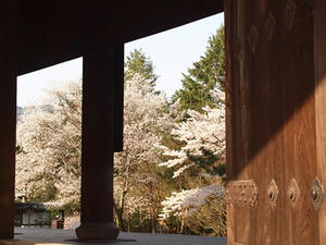 P4079718shuusei.JPG
