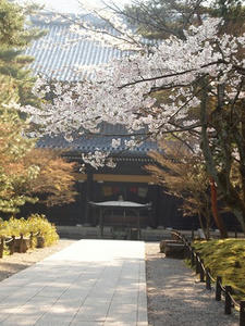P4079723shuusei.JPG