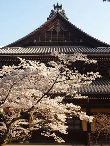 P4079733shuusei.JPG