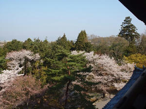 P4079764shuusei.JPG