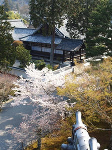 P4079777shuusei.JPG