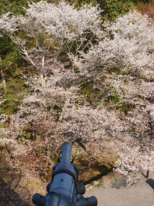 P4079774.shuuseiJPG.jpg