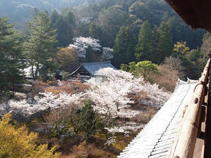 P4079783shuusei.JPG