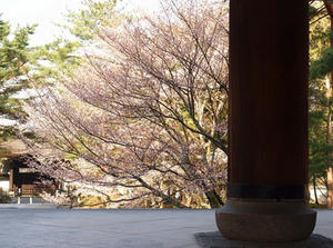 P4079805shuusei.JPG