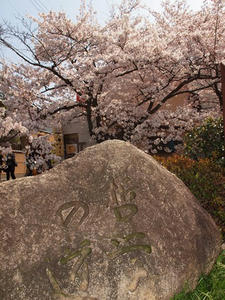 P4079975shuusei.JPG