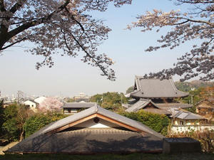 P4079821shuusei.JPG