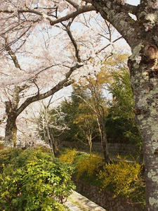 P4079829shuusei.JPG