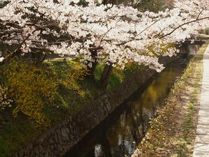 P4079832shuusei.JPG