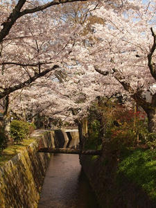 P4079857shuusei.JPG