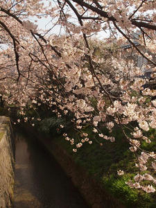 P4079890shuusei.JPG