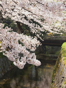 P4079947shuusei.JPG
