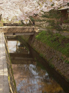 P4079878shuusei.JPG