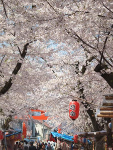 P4079999shuusei.JPG