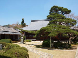 P4070059shuusei.JPG