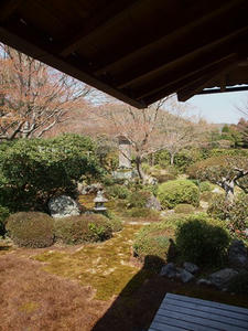 P4070071shuusei.JPG