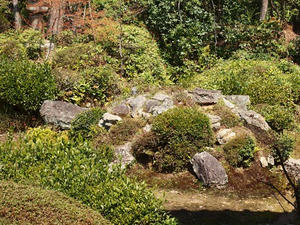 P4070070shuusei.JPG