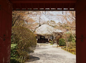P4070090shuusei.JPG