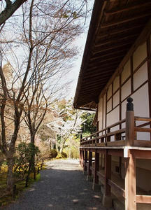 P4070102shuusei.JPG