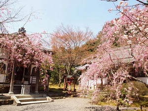 P4070109shuusei.JPG