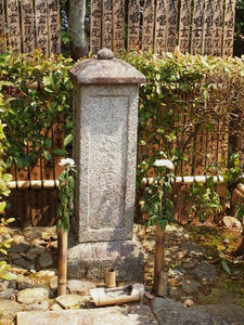 P4070123shuusei.JPG