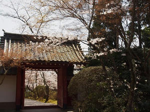 P4070134shuusei.JPG