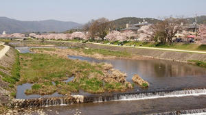 P4070140shuusei.JPG