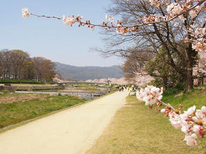 P4070151shuusei.JPG