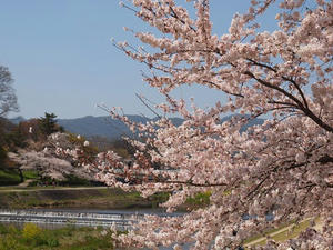 P4070165shuusei.JPG