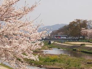 P4070229shuusei.JPG