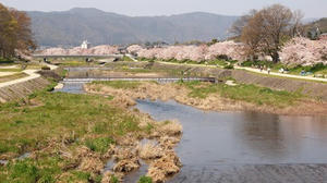 P4070142shuusei.JPG