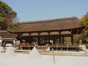 P4070197shuusei.JPG