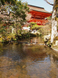 P4070200shuusei.JPG