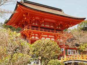 P4070205shuusei.JPG