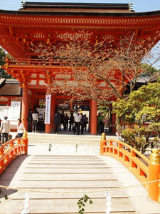 P4070206shuusei.JPG