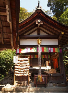 P4070207shuusei.JPG