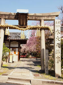 P4070231shuusei.JPG