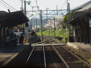 P4070255shuusei.JPG