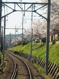 P4070262shuusei.JPG