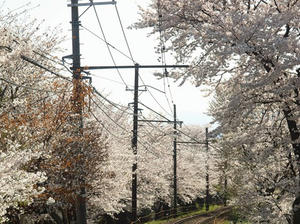 P4070269shuusei.JPG