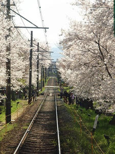 P4070275shuusei.JPG