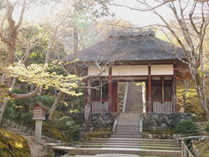 P4070288shuusei.JPG