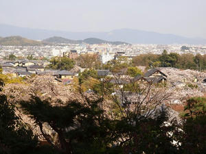 P4070297shuusei.JPG