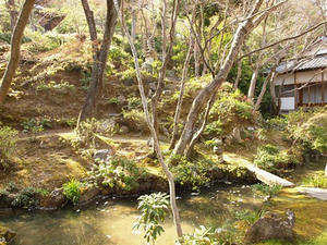 P4070302shuusei.JPG