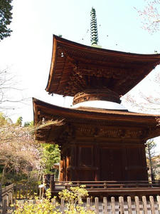 P4070305shuusei.JPG